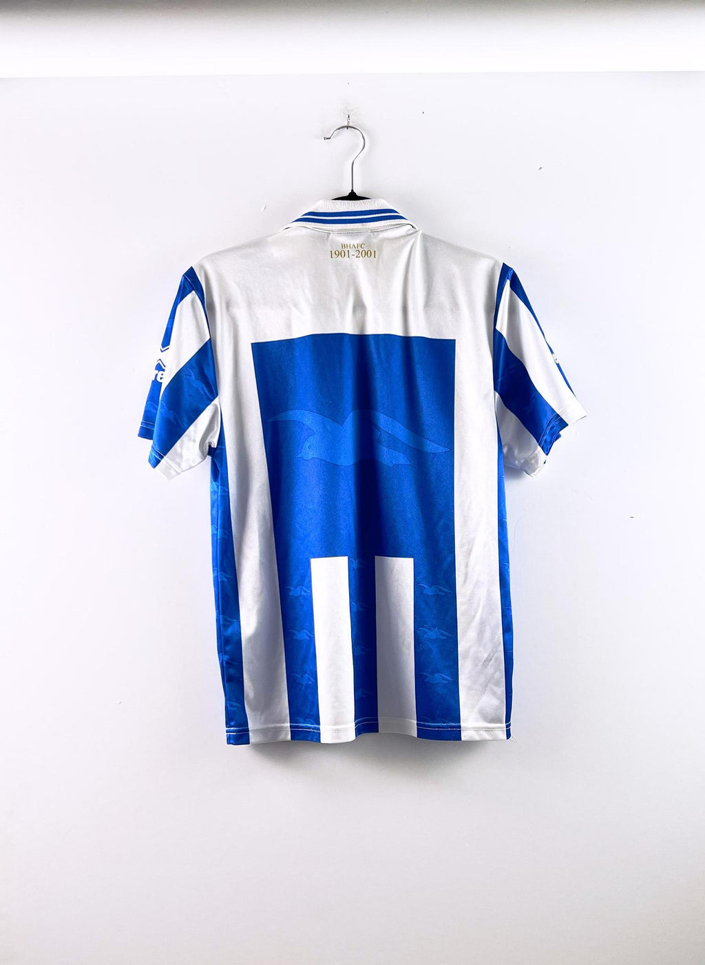 '00-01 Brighton & Hove Albion F.C. Home Kit